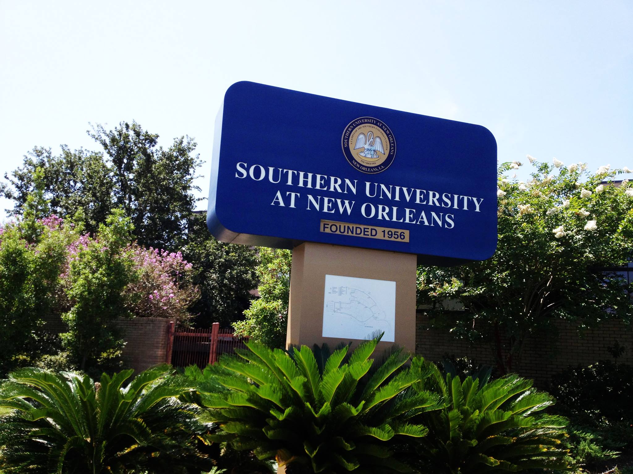 Southern University