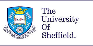 University of Sheffield