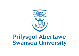 Swansea University