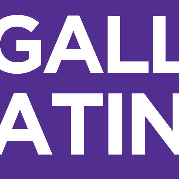 New York University Gallatin 