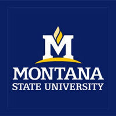 Montana State University