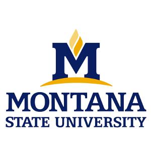 Montana State University