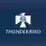 Thunderbird School of Global Management